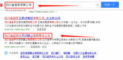 四川省宜賓市思坡醋業(yè)有限責任公司與我司做網(wǎng)站設計項目
