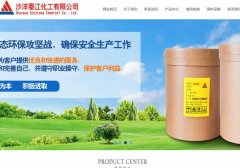 沙洋秦*化工有限公司建網(wǎng)站新一代自助建站、智能建站系統(tǒng)