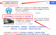 云南白藥集團文山*花有限責任公司網站建設有創(chuàng)意的主題設計