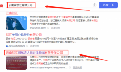 云南怒江州東*大峽谷生物城有限責(zé)任公司網(wǎng)站建設(shè)新一代自助建站、智能建站系統(tǒng)