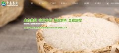 豐城市中*農(nóng)業(yè)發(fā)展有限公司網(wǎng)站建設(shè)新一代自助建站、智能建站系統(tǒng)
