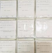 企業(yè)網(wǎng)站設(shè)計(jì):個(gè)性化與整體性的完美融合